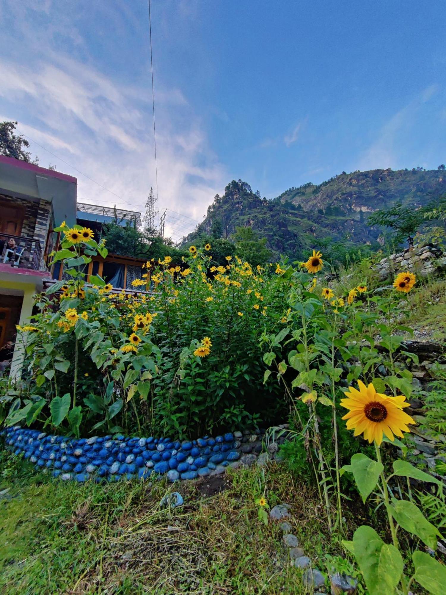 Flipsyde Retreat Hotel Kasol Ngoại thất bức ảnh