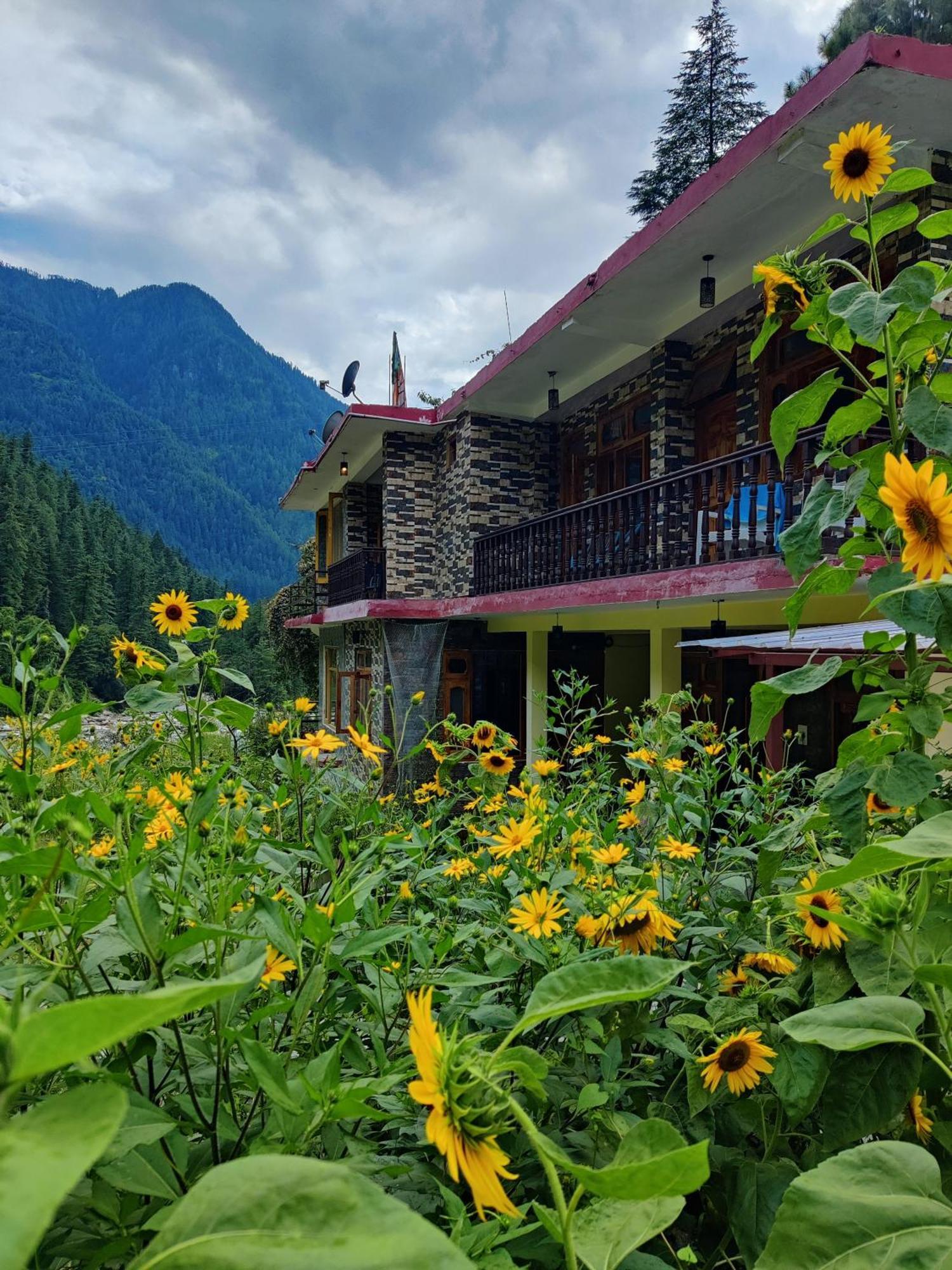 Flipsyde Retreat Hotel Kasol Ngoại thất bức ảnh
