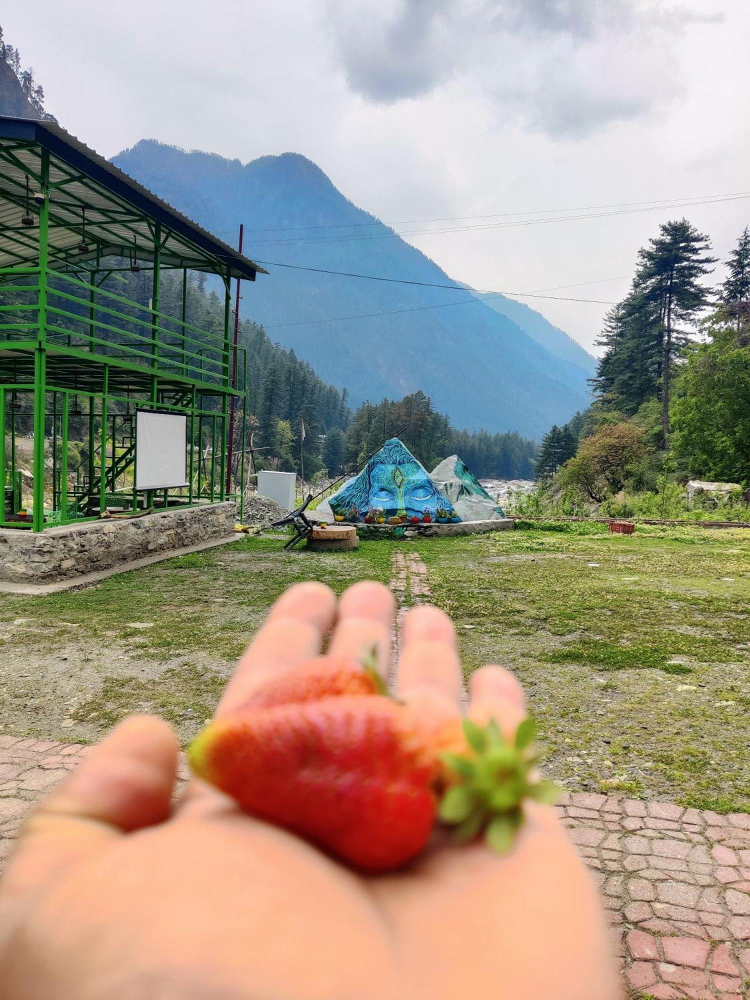 Flipsyde Retreat Hotel Kasol Ngoại thất bức ảnh